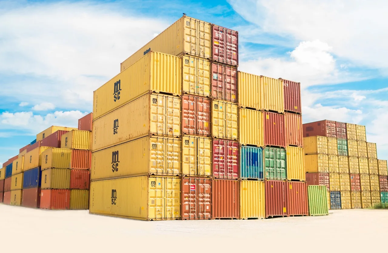 Utlandsflytt med lastbil och container (illustrativ bild)